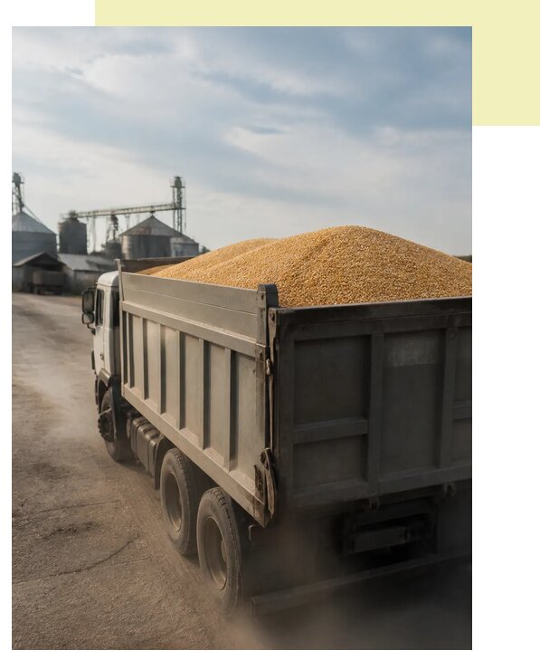 Перевозка сельхозпродукции навалом в Топки по цене от 3040 р. | Агросервис-Тпк